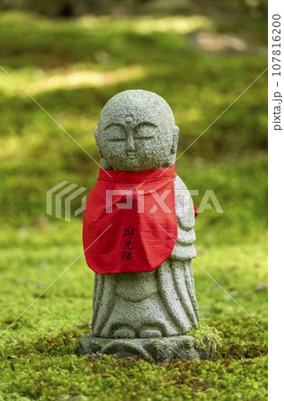 寂光院の苔庭にたたずむ地蔵(京都府京都市左京区大原) 寂光院の苔庭にたたずむ地蔵(京都府京都市左京区大原) 107816200