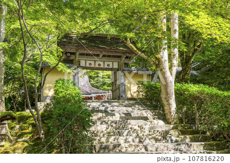 寂光院 山門 石段の参道(京都府京都市左京区大原) 寂光院 山門 石段の参道(京都府京都市左京区大原) 107816220