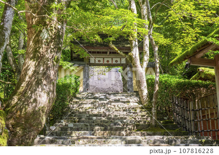寂光院 山門 石段の参道(京都府京都市左京区大原) 寂光院 山門 石段の参道(京都府京都市左京区大原) 107816228