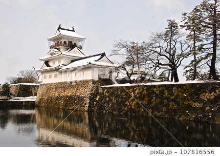 雪の富山城（富山城址公園／富山県富山市丸の内） 107816556