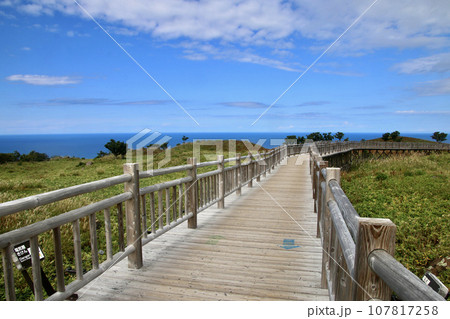 知床五湖・一湖・木道(北海道・斜里町) 知床五湖・一湖・木道(北海道・斜里町) 107817258
