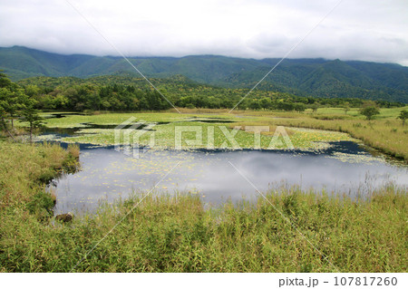 知床五湖・一湖（北海道・斜里町） 107817260