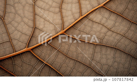 Close up texture leaf structure macro photography, abstract texture, Generative AI illustration Close up texture leaf structure macro photography, abstract texture, Generative AI illustration 107817842