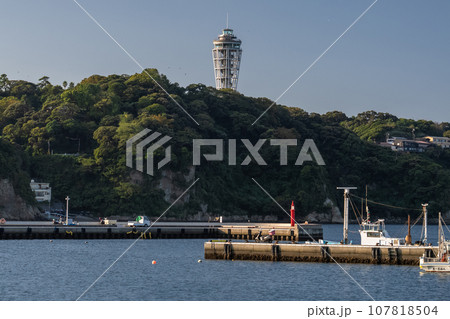 《神奈川県》早朝の江ノ島の風景 107818504