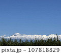 富士山6 107818829