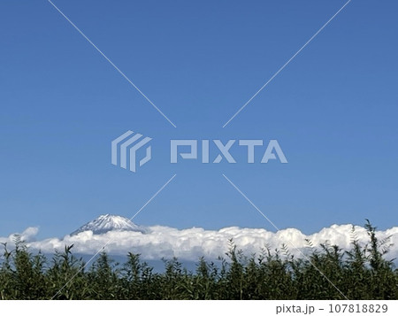 富士山6 富士山6 107818829