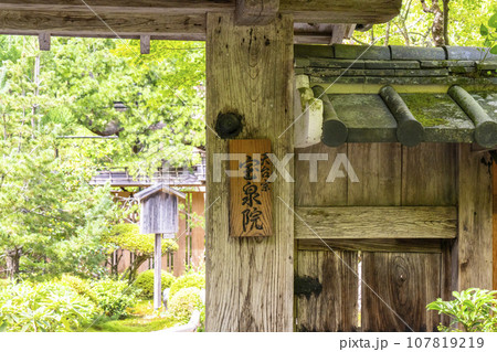 宝泉院 山門と新緑(京都市左京区大原) 宝泉院 山門と新緑(京都市左京区大原) 107819219