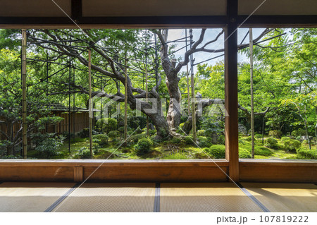 宝泉院　盤桓園　額縁の庭園（京都市左京区大原） 107819222