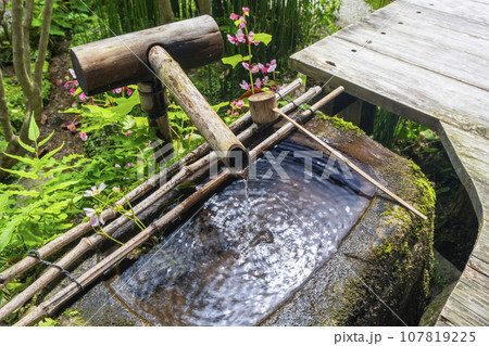 宝泉院　鶴亀庭園　つくばい（京都市左京区大原） 107819225