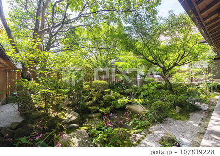 宝泉院 鶴亀庭園(京都市左京区大原) 宝泉院 鶴亀庭園(京都市左京区大原) 107819228