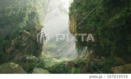 A lush green cliff covered in vegetation and rocks 107819558