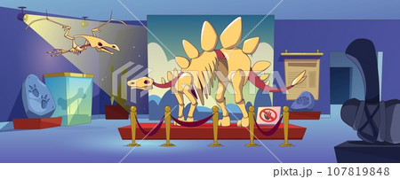 Museum exhibit with stegosaurus dinosaur fossil 107819848