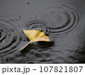 水たまりに浮くイチョウの葉 水たまりに浮くイチョウの葉 107821807