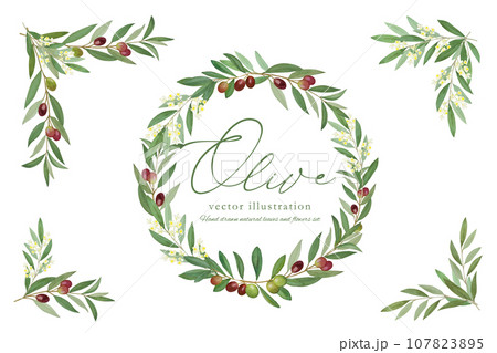 オリーブの葉っぱのベクターイラストフレーム オリーブの葉っぱのベクターイラストフレーム 107823895