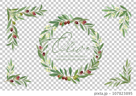 オリーブの葉っぱのベクターイラストフレーム オリーブの葉っぱのベクターイラストフレーム 107823895