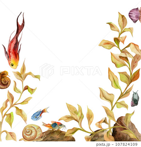Hand drawn watercolor aquarium fish, algae and sealife. Marine exotic underwater illustration. Isolated on white background. Frame border. Design for shops, brochure, print, card, wall art, textile. 107824109