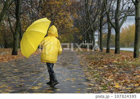 Boy with an umbrella walks in the rain in the autumn park. Child on the walking. Back view Boy with an umbrella walks in the rain in the autumn park. Child on the walking. Back view 107824395