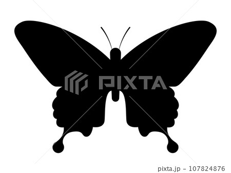 アゲハ蝶のシルエット 107824876