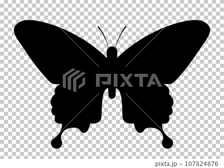 アゲハ蝶のシルエット 107824876