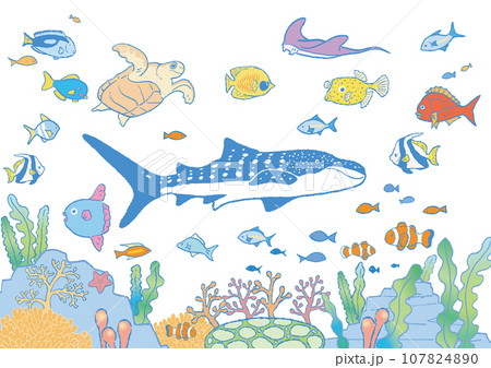 ポップな海の生き物 ベクターイラストセットA 107824890
