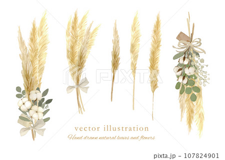 水彩で描いた冬のドライフラワーセット 水彩で描いた冬のドライフラワーセット 107824901