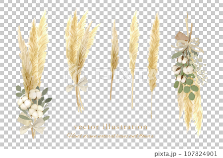 水彩で描いた冬のドライフラワーセット 水彩で描いた冬のドライフラワーセット 107824901