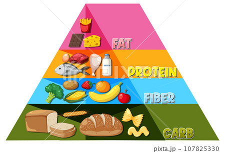 Cartoon Food Pyramid Infographic: A Nutritional...のイラスト素材 [107825330 ...