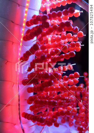 Closeup of gourd candy is sold on the street in Ho Chi Minh City 107825494