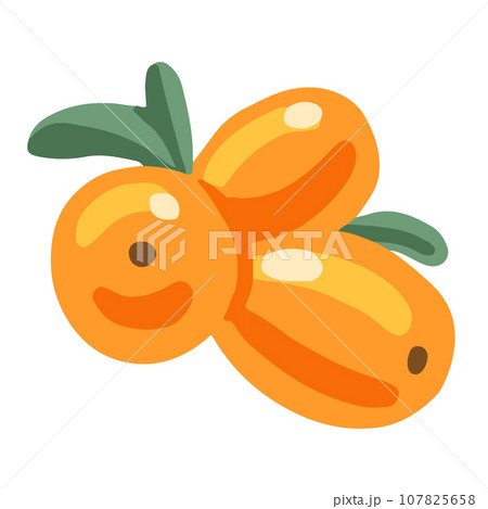 sea buckthorn 107825658