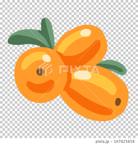 sea buckthorn 107825658