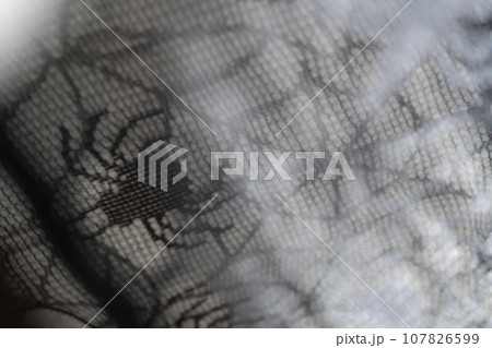 蜘蛛の巣・ハロウィン 背景素材 107826599