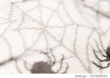 蜘蛛の巣・ハロウィン 背景素材 107826620