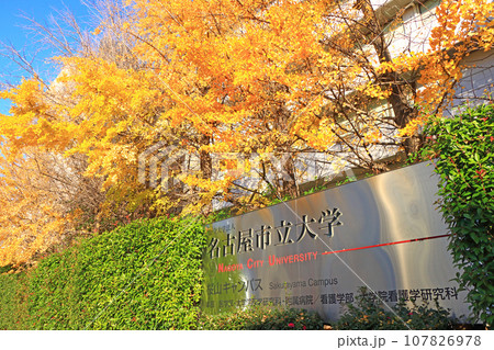 愛知県名古屋市、名古屋市立大学の風景 愛知県名古屋市、名古屋市立大学の風景 107826978