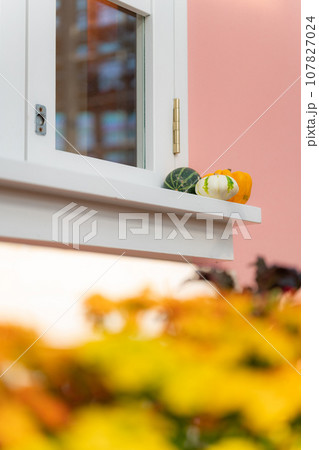 ハロウィン・イベント イメージ 107827024