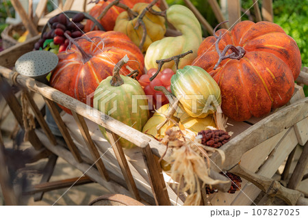 ハロウィン・イベント イメージ 107827025