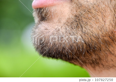 Bearded male chin. Beard on the face of a young man. Bearded male chin. Beard on the face of a young man. 107827250