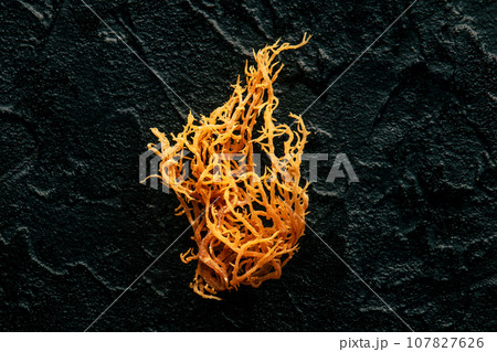 Irish sea moss. Chondrus Crispus, healthy organic raw seaweed, a close-up 107827626