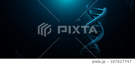 DNA structure. Science, genetics, and biotechnology. Low polygon, lines, triangles, and particle style design. Illustration vector 107827747