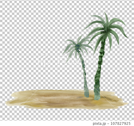 Watercolor palm trees on sand of desert island or beach illustration isolated on white background. Hand drawing summer vacation template 107827925