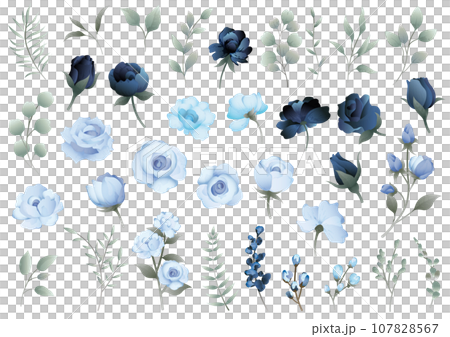 Vector illustration set of floral elements 107828567