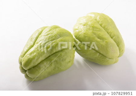 隼人瓜 ハヤトウリ 隼人瓜 ハヤトウリ 107829951