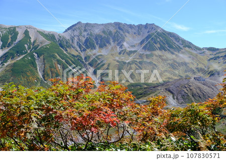 秋の立山ハイキング 秋の立山ハイキング 107830571