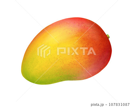 Mango. Fresh tropic whole fruit. Realistic vivid illustration isolated on white background. Icon clip art. 107831087