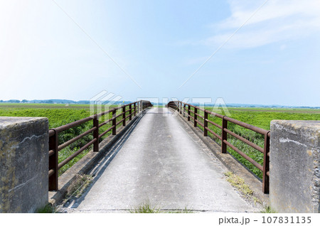 老朽化した橋 老朽化した橋 107831135