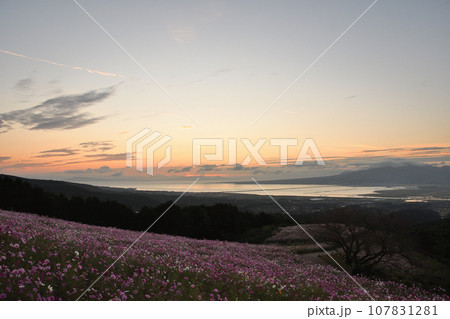 早朝の白木峰高原 早朝の白木峰高原 107831281