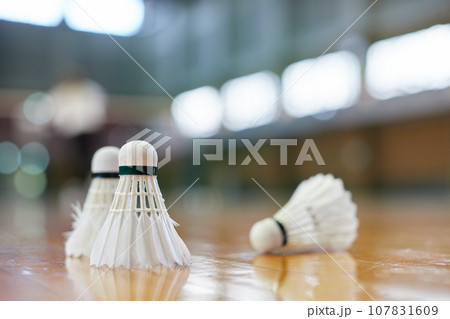 室内運動場の床に置かれたバドミントンのシャトルの様子 107831609