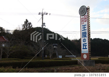 晩秋の古代出雲王陵の丘にて（島根県安来市荒島町） 107831855