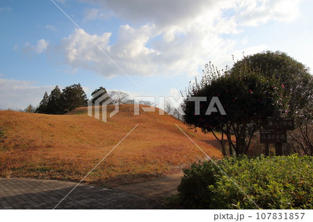 晩秋の古代出雲王陵の丘にて（島根県安来市荒島町） 107831857