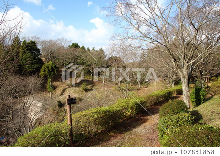 晩秋の古代出雲王陵の丘にて（島根県安来市荒島町） 107831858