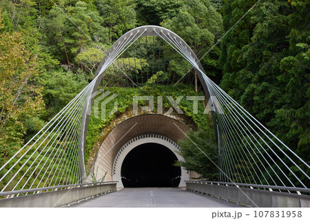 滋賀県のミホミュージアムのトンネルの風景 滋賀県のミホミュージアムのトンネルの風景 107831958